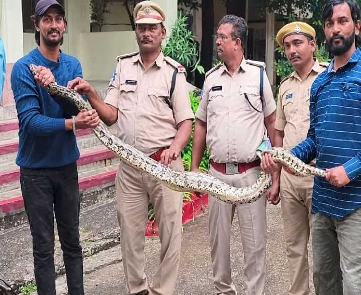 ఖమ్మంలో భారీ కొండచిలువ పట్టివేత - Udayam
