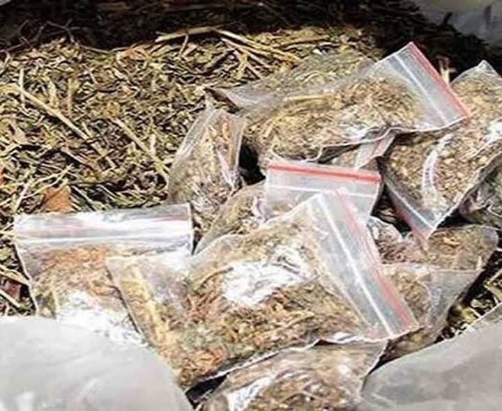 భారీ మొత్తంలో గంజాయి పట్టివేత