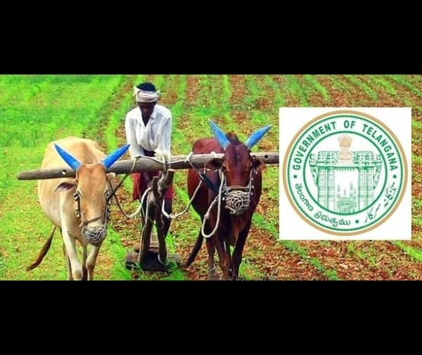 రైతు బీమా స్థానంలో కొత్త పథకం?