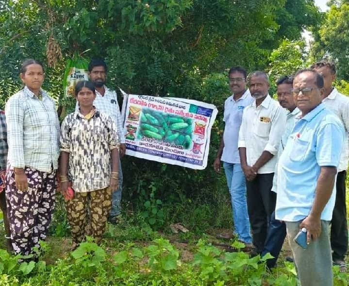 యాసంగిలో ఆరుతడి పంటలు సాగు చేయాలి - Udayam