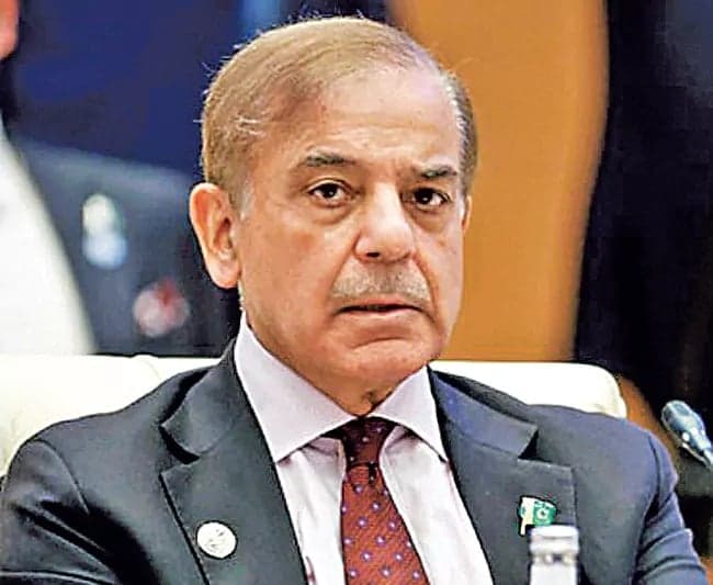 రోత్‌షీల్డ్‌ ప్రతినిధులతో షెహబాజ్‌ భేటీ - Udayam