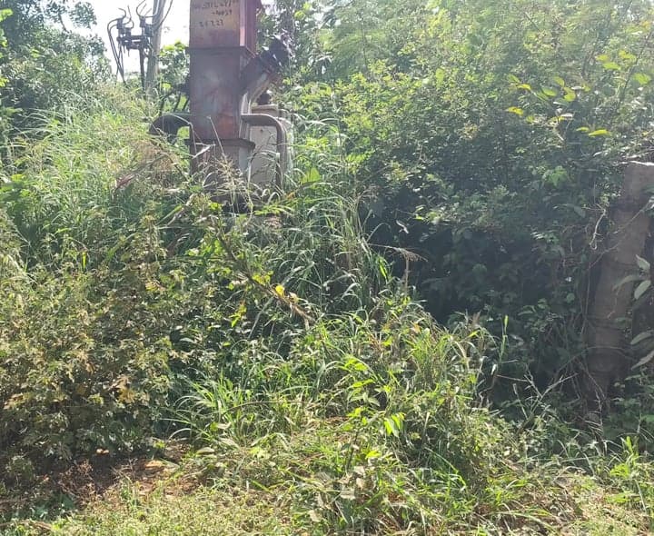 ట్రాన్స్‌ఫార్మర్‌ చుట్టూ పిచ్చిమొక్కలు - Udayam