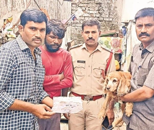 'రోమా' ఘనత.. పట్టుబడిన గంజాయి