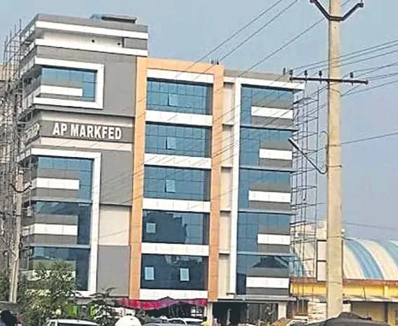 మార్క్‌ఫెడ్‌పై మామిడి భారం - Udayam