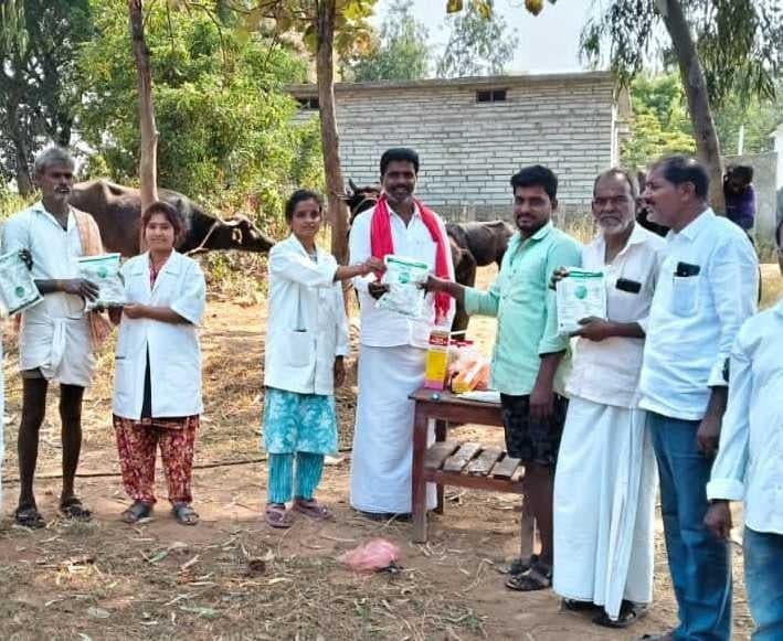 మద్దూరులో 33 పశువులకు గర్భకోశ పరీక్షలు - Udayam