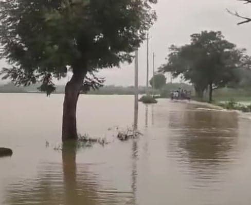 కోరుకొండలో కాలువకు గండి.. వరి పంట నీటమునక - Udayam