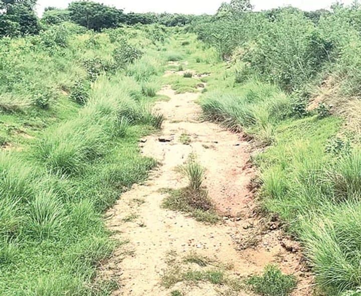 ఎస్సారెస్పీ జలాల కోసం రైతుల ఎదురుచూపు