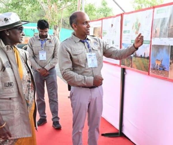 కునో పార్కులో చీతా ప్రాజెక్ట్ సమీక్ష
