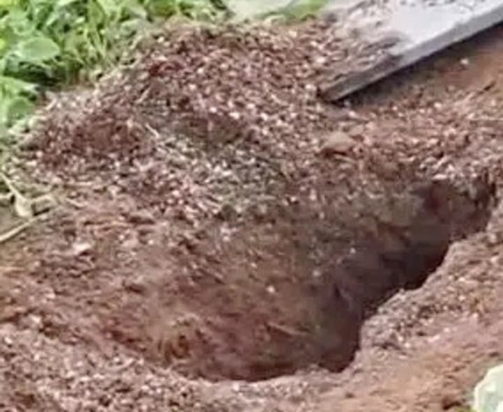 శిశువు మృతదేహం మాయమైన ఘటనపై దర్యాప్తు
