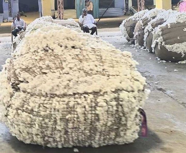 ఆదోనిలో పత్తి ధర రూ.10 వేల మార్క్ దాటింది