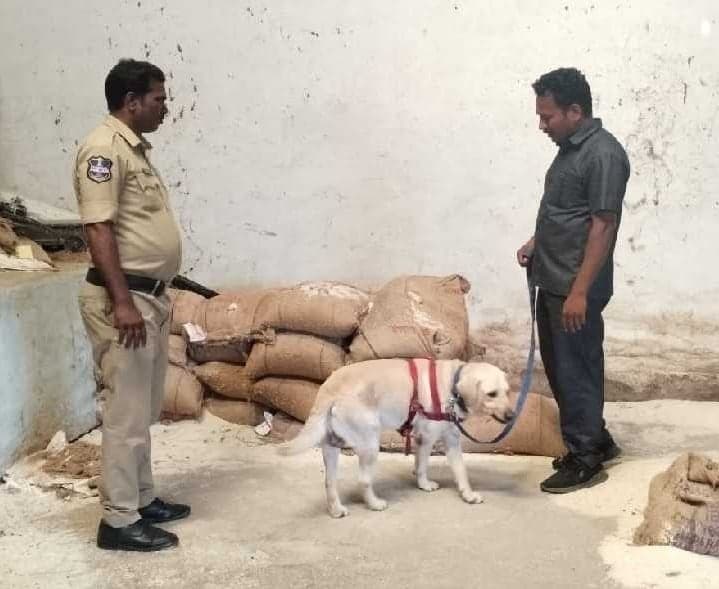 అలంపూర్‌లో గోదాములు, దుకాణాల తనిఖీ - Udayam