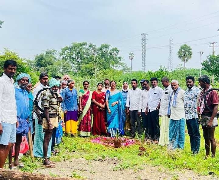 తిమ్మంపేటలో వన మహోత్సవం