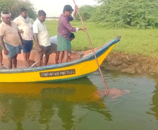 కృష్ణా నదిలో గల్లంతైన వృద్ధుడి మృతదేహం లభ్యం - Udayam