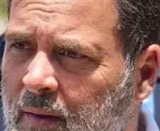 రాహుల్ పిటిషన్‌లో 14 లోపాలు