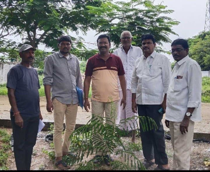 మొక్కల సంరక్షణ అందరి బాధ్యత: తహశీల్దార్