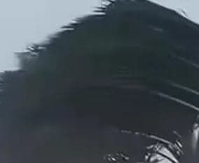 23 రాష్ట్రాలకు వర్ష హెచ్చరిక