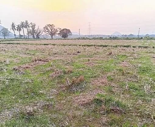 కోరుకొండ దేవస్థానం భూముల అన్యాక్రాంతంపై ఆందోళన