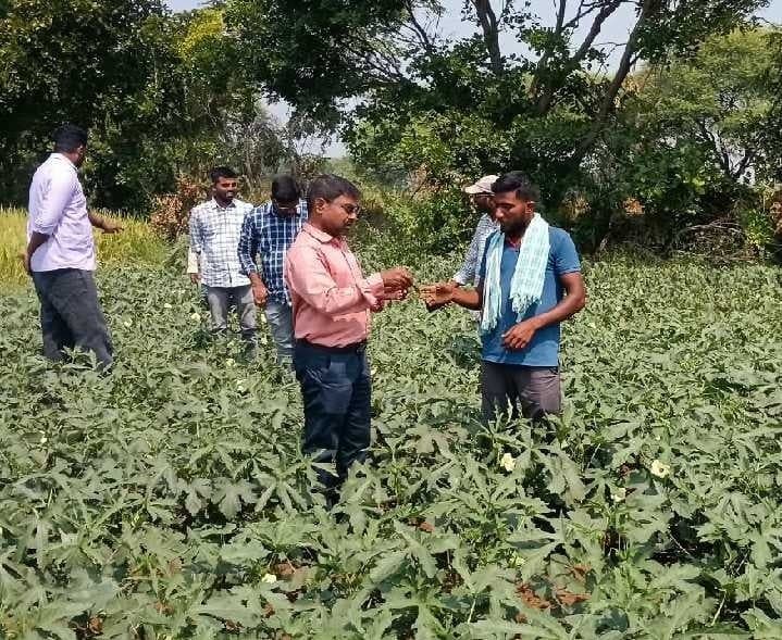తక్కువ నీటితో కూరగాయల సాగు చేయాలి - Udayam