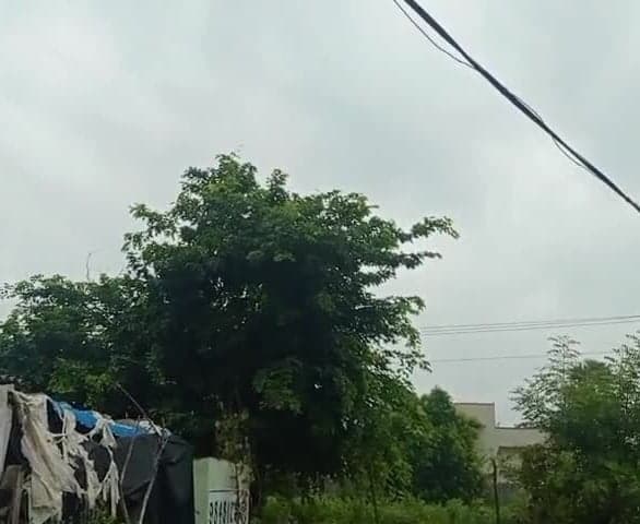 వెంకటాపూర్‌లో చిరుజల్లులు.. రైతుల్లో ఆందోళన - Udayam