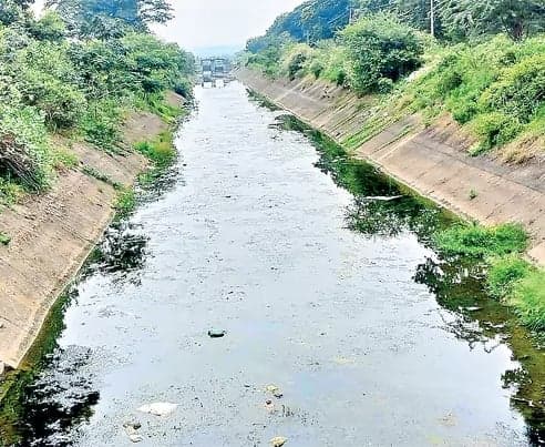 వరి పంటకు చివరి నీటి అవకాశం