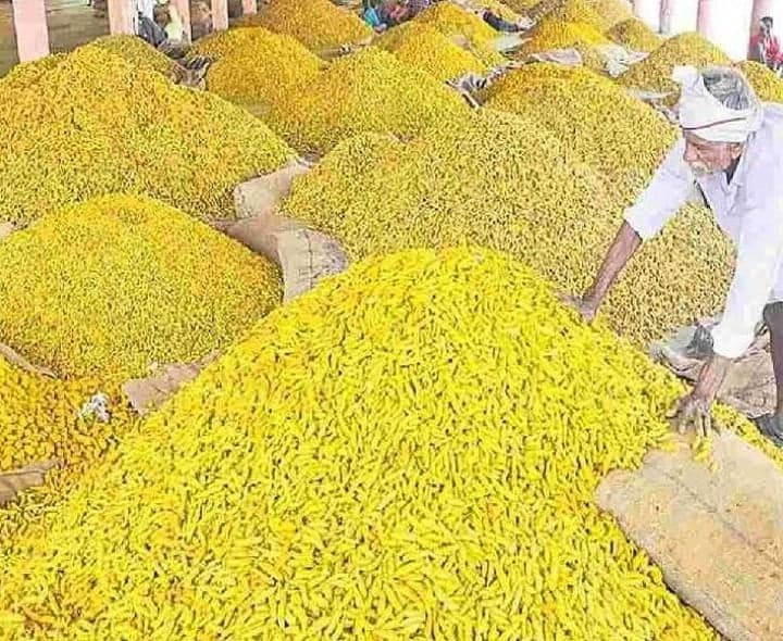 ఎనుమాముల మార్కెట్‌లో పసుపు రికార్డు ధర 
