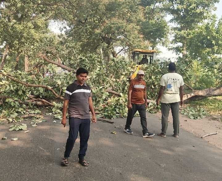 ఉట్నూర్‌ రహదారిపై కొమ్మల తొలగింపు - Udayam