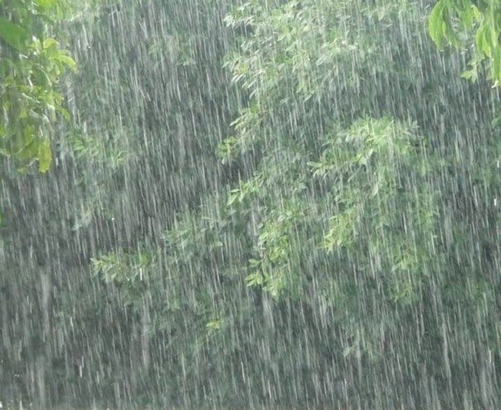 తెలంగాణలో పలు జిల్లాలకు వర్ష సూచన
