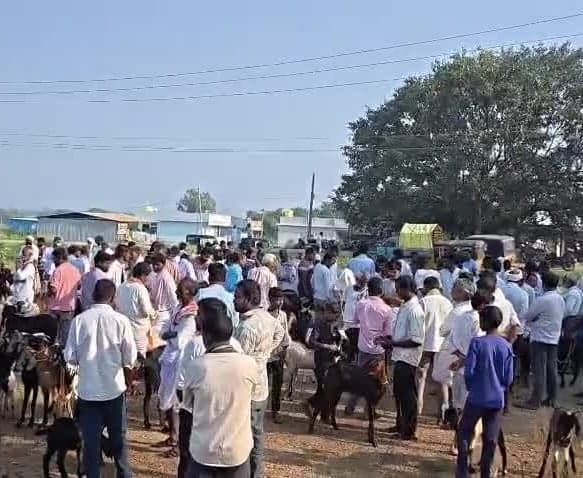 సిర్గాపూర్‌ మేకల బజార్‌లో 50 లక్షల లావాదేవీలు - Udayam