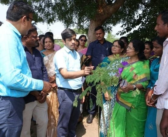 ప్రత్యామ్నాయ పంటల సాగుపై రైతులకు అవగాహన కల్పించాలి: కలెక్టర్ - Udayam