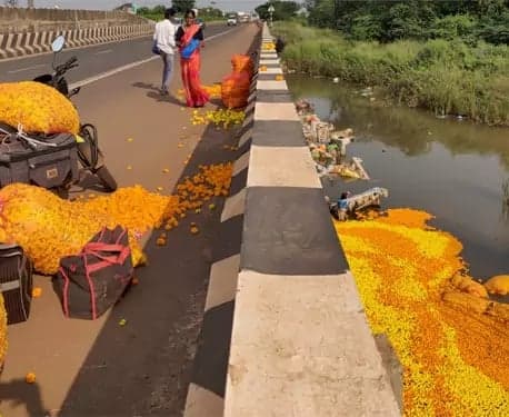 ధరల్లేక పూలను పారబోసిన రైతు
