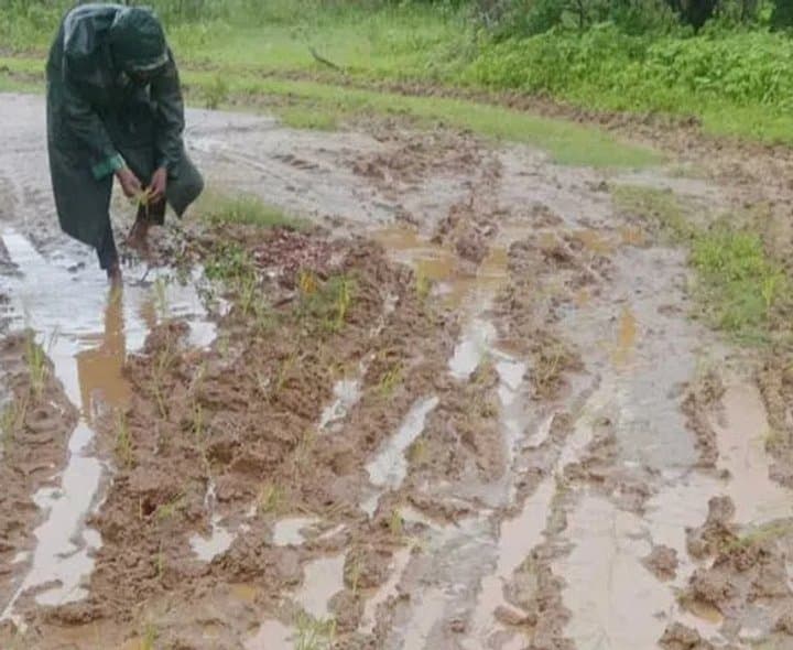 బురద రోడ్డుపై వరి నాట్లు వేసి తండావాసుల నిరసన