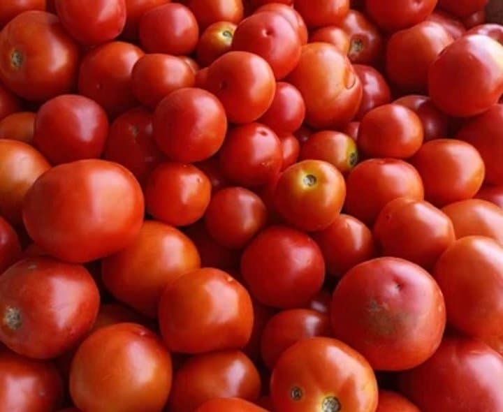 టమోటా ధరల పతనం.. కిలో రూ.10 లోపే