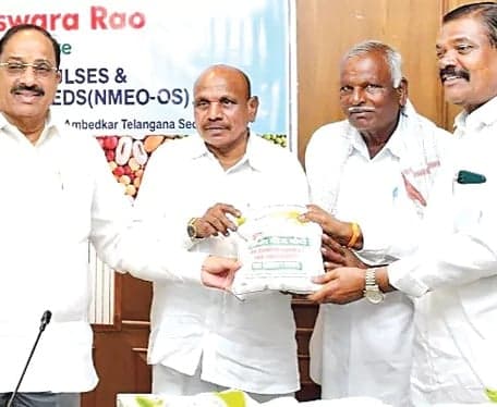 యాసంగిలో ప్రత్యామ్నాయ పంటల సాగు