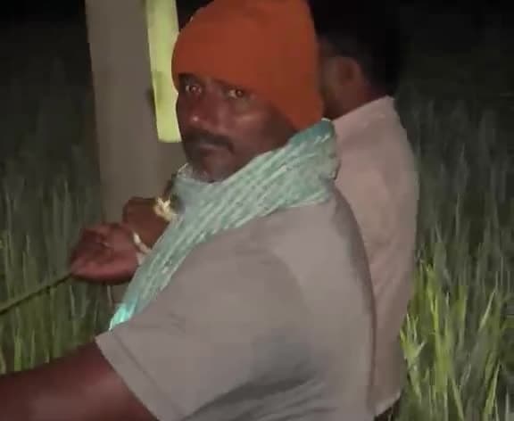 కరెంట్‌ కోసం అర్ధరాత్రి రైతుల అవస్థలు - Udayam