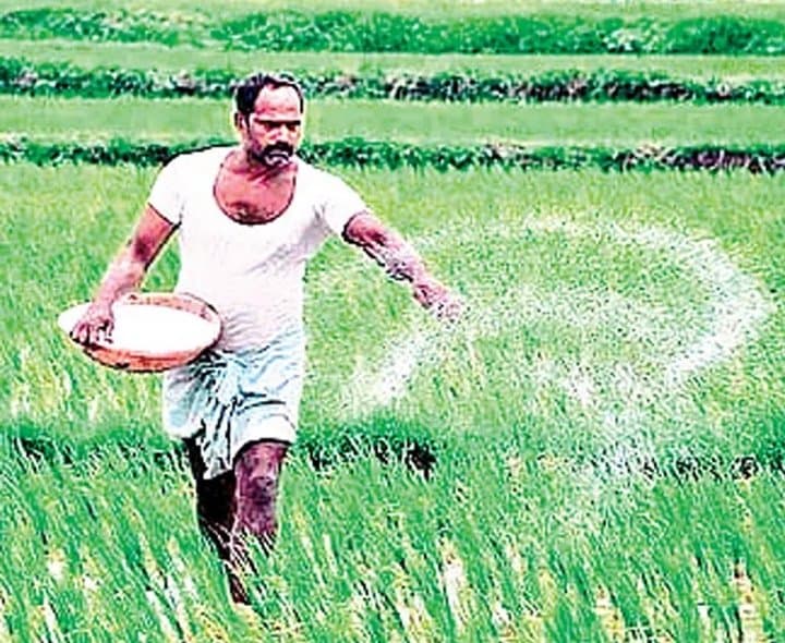 వర్షాల్లేవు.. యూరియా దొరకదు