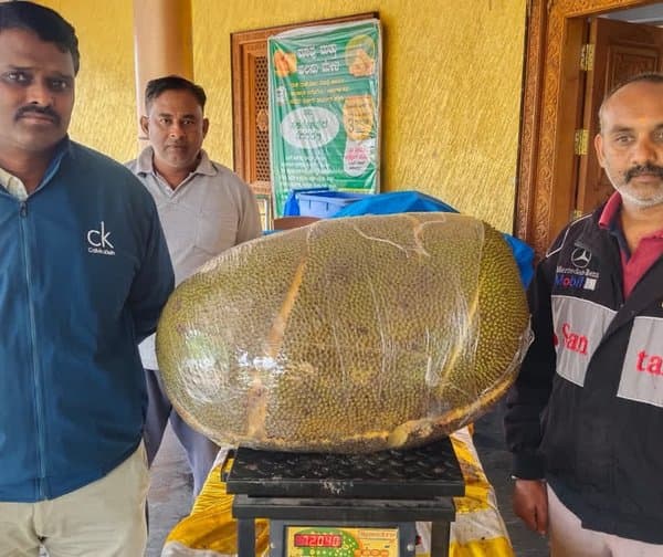 ప్రపంచ రికార్డుల వేటలో దేశీ రైతు