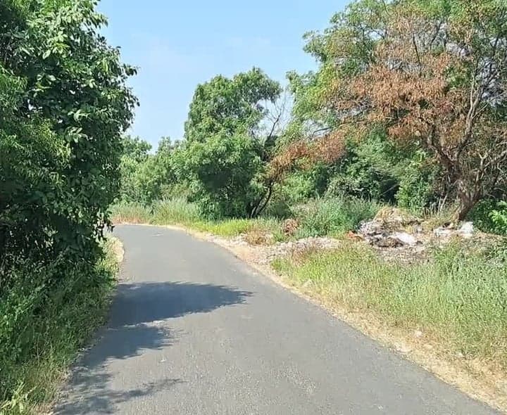 సంజీవన్‌రావుపేట-కడ్పల్ రహదారిపై ప్రమాద భయం - Udayam