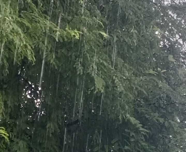 కొడకండ్లలో దంచికొడుతున్న వర్షం - Udayam