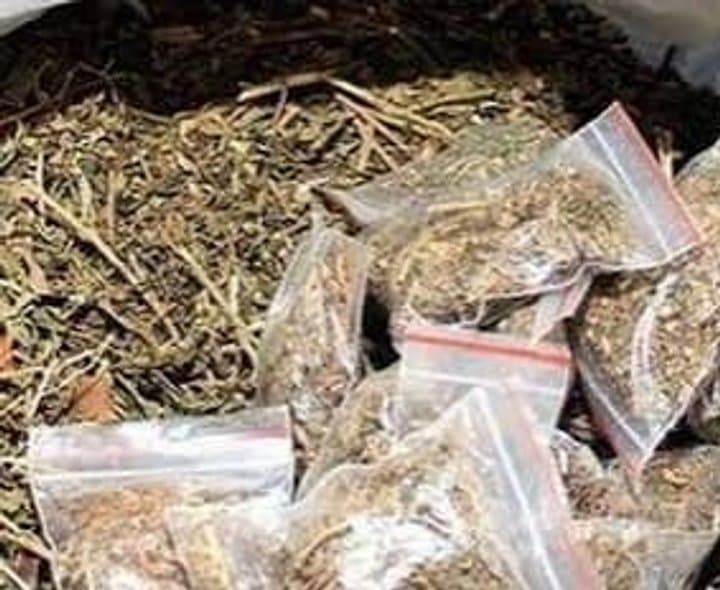 గంజాయి మహమ్మారి: యువత భవితకు ముప్పు
