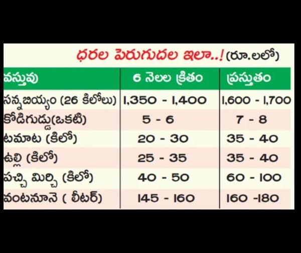 పెరుగుతున్న ధరలు.. సామాన్యుడిపై భారం - Udayam Digital