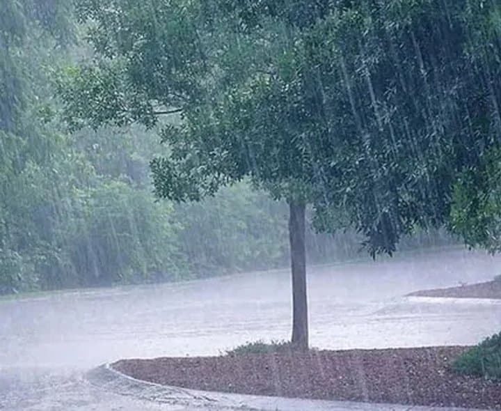 తెలంగాణలో భారీ వర్షాలు: ఎల్లో అలర్ట్