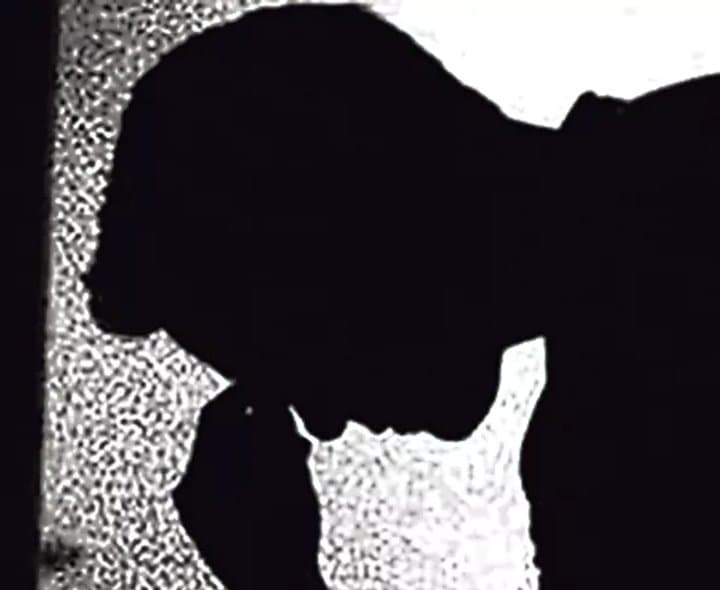 పెళ్లి బెంగతో బలవన్మరణాలు