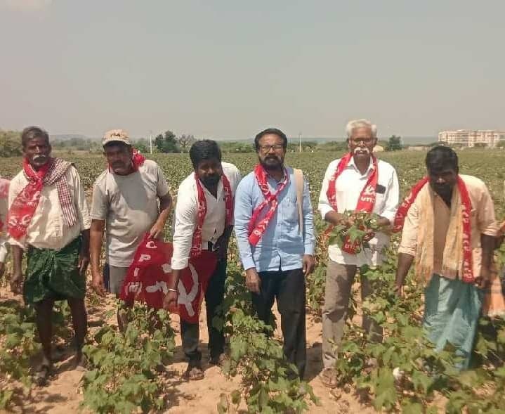 ఎండిన పత్తి పంటలకు పరిహారం చెల్లించాలి - Udayam