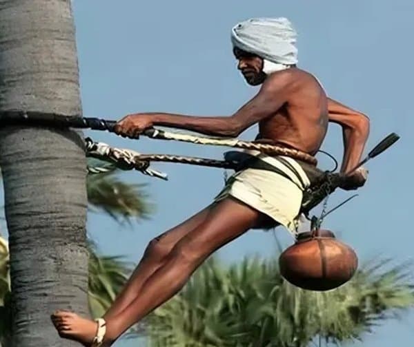 గీత కార్మికులకు రూ.17 కోట్లు విడుదల