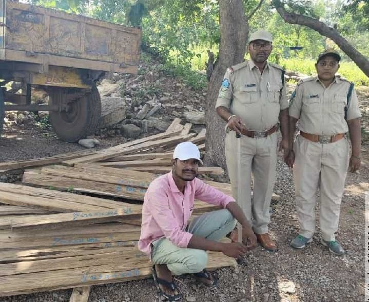 గిన్నెదరి రేంజ్‌లో అక్రమ కలప రవాణా? - Udayam