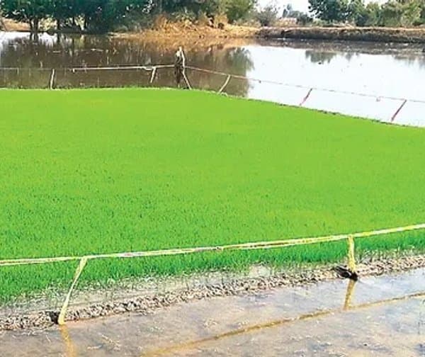 అన్నదాతపై మోయలేని భారం
