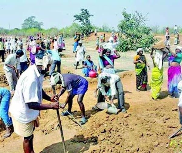 ఉపాధి కూలీలకు సౌకర్యాలు కల్పించాలి