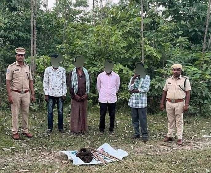 పాల్వంచలో వన్యప్రాణుల వేటకు యత్నం.. నలుగురు అరెస్ట్ - Udayam
