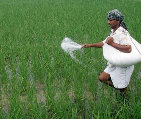 తగ్గనున్న ఎరువుల భారం