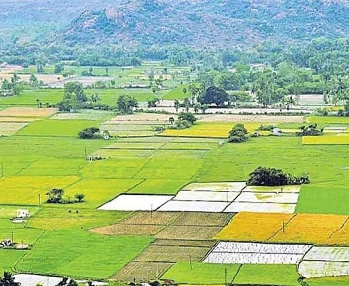 గిరిజన భూ హక్కు చట్టంపై కీలక నిర్ణయం 